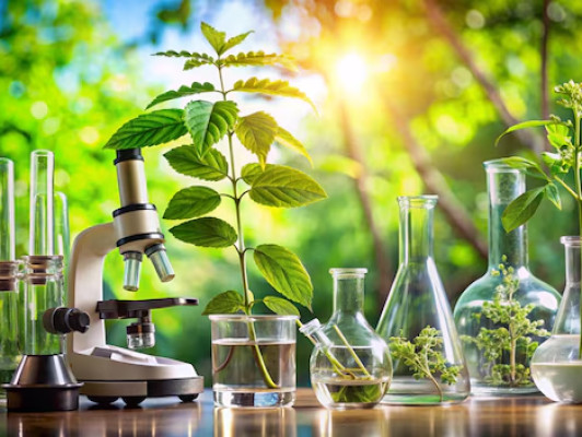 De Magie van Natuur en Wetenschap: Hoe Alles Samenkomt