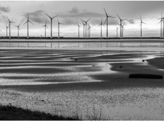 Terug naar de essentie: zwart-wit fotografie