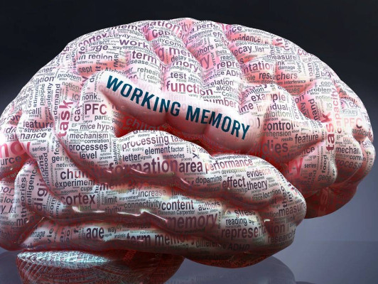 Filosofie van het geheugen